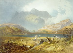 Langdale Pikes, da 